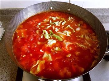 俄式红菜汤的做法步骤5