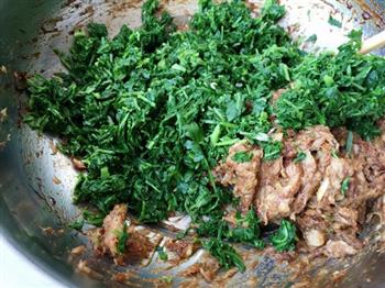 鲜肉荠菜锅贴的做法步骤4
