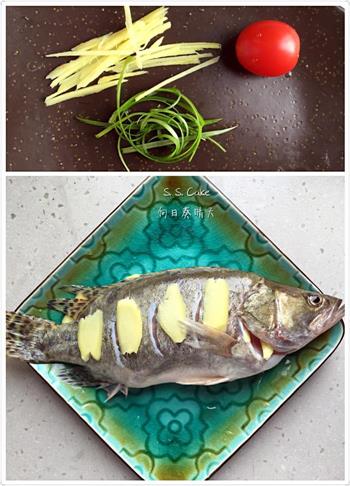 清蒸桂鱼的做法步骤1