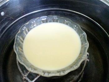 鲜奶炖蛋的做法步骤4