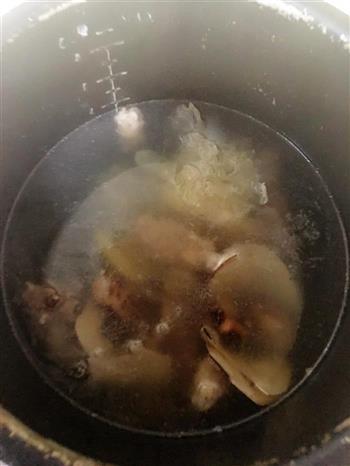 花胶螺片海底椰排骨汤的做法步骤4