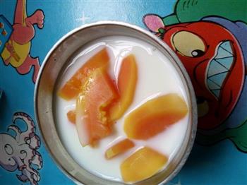 木瓜炖牛奶的做法步骤5
