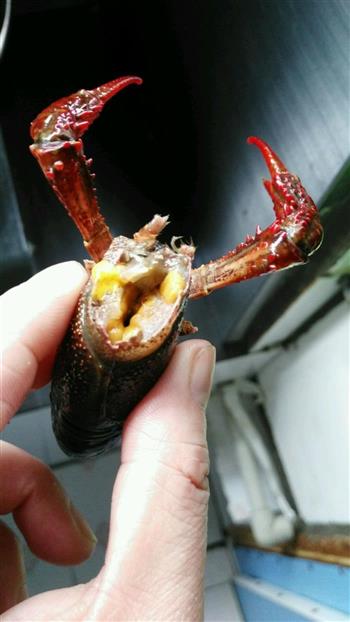 油焖小龙虾的做法步骤3