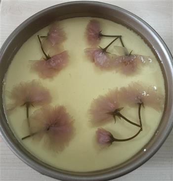 樱花酸奶冻芝士蛋糕的做法图解17