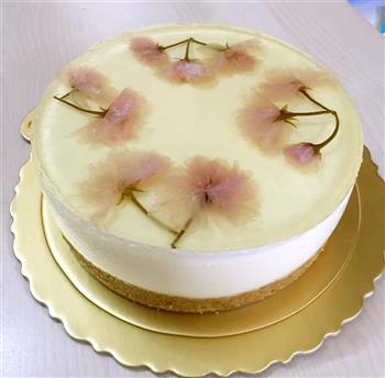 樱花酸奶冻芝士蛋糕的做法步骤19