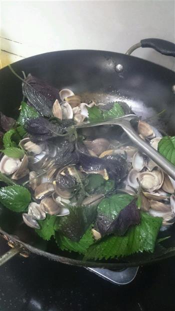 紫苏炒蛤蜊的做法步骤4