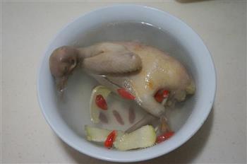 清蒸鸽子汤的做法步骤4
