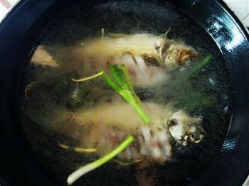 奶白鲫鱼豆腐汤的做法步骤7