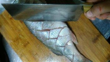 红烧鲈鱼的做法步骤2