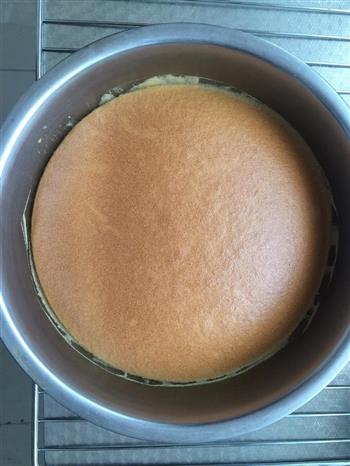 蜂蜜海绵蛋糕的做法步骤15