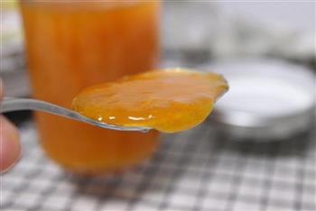 酸甜杏酱的做法图解5