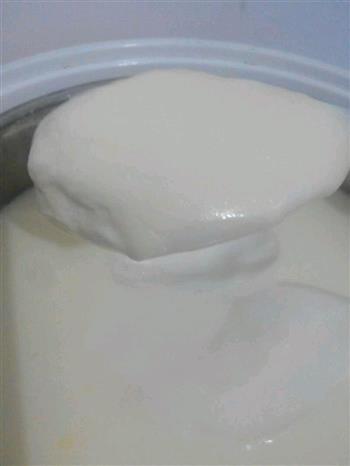 自制美味酸奶的做法图解8