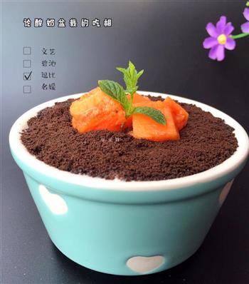 木瓜酸奶盆栽的做法步骤10