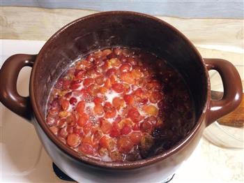 自制樱桃酱的做法步骤5