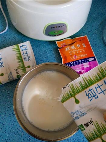 自制美味酸奶的做法图解4
