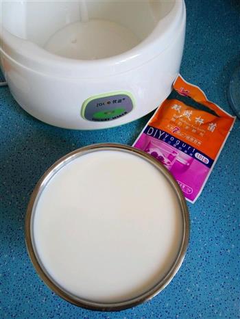 自制美味酸奶的做法图解5