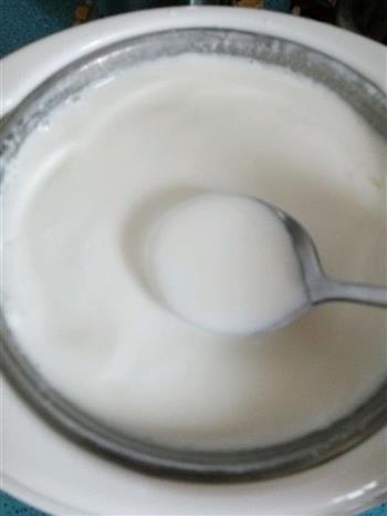 自制美味酸奶的做法图解7