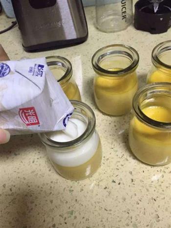 芒果牛奶鸡蛋布丁的做法步骤6