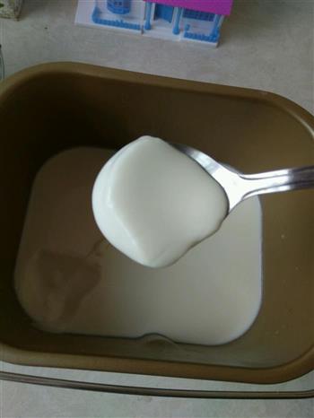 面包机版酸奶的做法步骤3