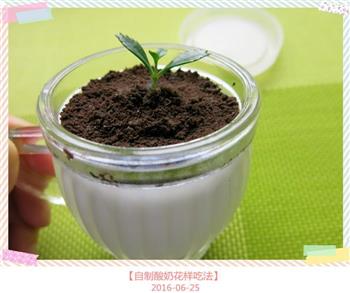 自制酸奶花样吃法的做法步骤10