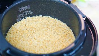 糙米发芽饭的做法图解3