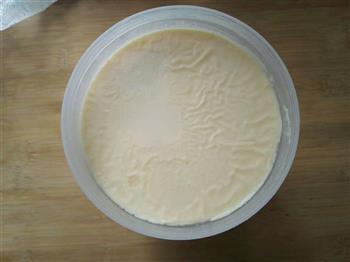 自制酸奶的做法步骤9