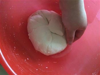 荠菜猪肉饺子的做法步骤4