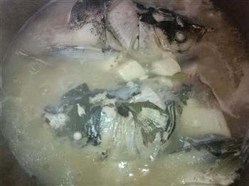 营养与美味并存的奶白色鱼头豆腐汤的做法步骤7