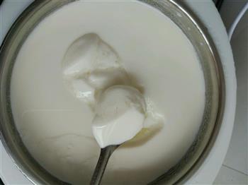 自制原味酸奶的做法步骤6