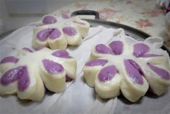 紫薯花馒头的做法步骤8