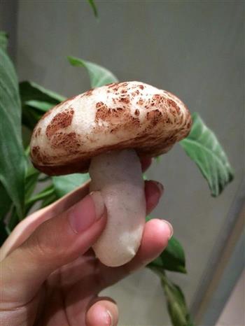 蘑菇豆沙馒头-以假乱真的萌食小点的做法图解15