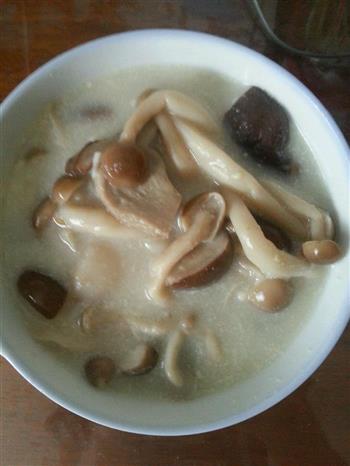 菌菇芦荟百合汤的做法图解5