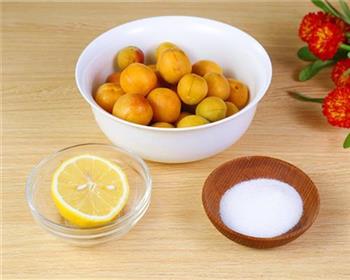 杏子果酱的做法的做法步骤1