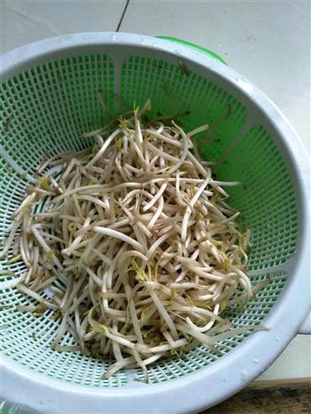 绿豆芽炒灌肠的做法步骤1