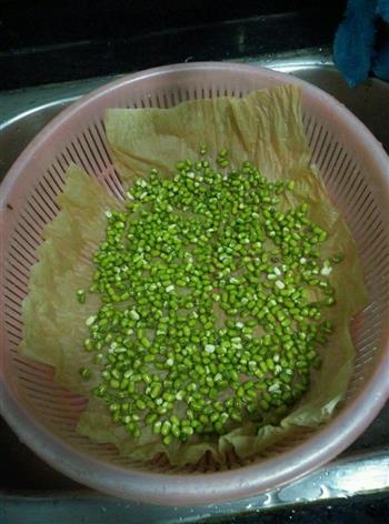 自发绿豆芽的做法步骤3