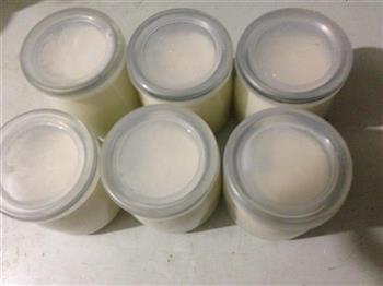川秀菌粉面包机自制酸奶简单快速的做法图解7