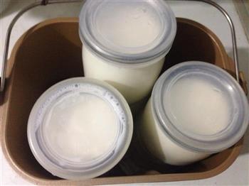 川秀菌粉面包机自制酸奶简单快速的做法图解8