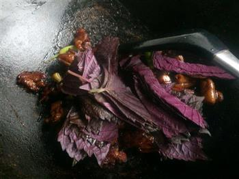 紫苏红焖羊肉的做法图解10
