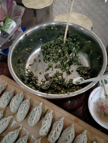 大肉茴香饺子的做法步骤1