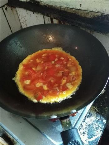 西红柿甩蛋的做法图解6