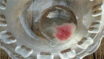 樱花水晶球-水信玄饼的做法图解9
