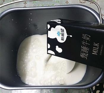 果仁酸奶的做法步骤4