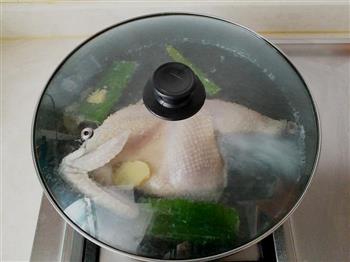 芽菜凉拌手撕鸡-亚麻籽油精选菜系的做法步骤7