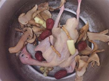 鸽子炖西藏那曲冬虫草加松茸的做法步骤1