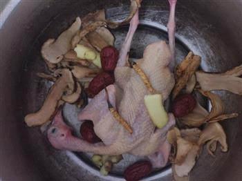 鸽子炖西藏那曲冬虫草加松茸的做法步骤2