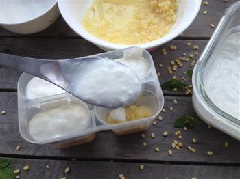 一根酸奶绿豆冰棍，勾起你满满的儿时记忆的做法步骤8