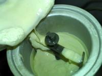 焦糖牛奶香草冰激凌的做法步骤13