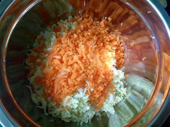 蔬菜肉末鸡蛋煎饺的做法步骤1