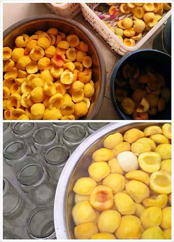 简单自制黄桃罐头的做法步骤1