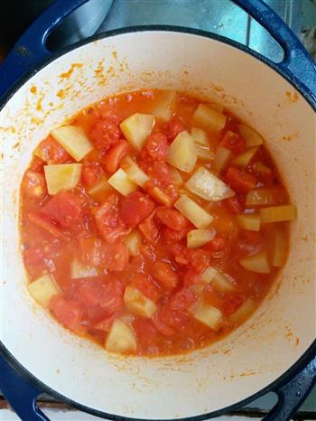 珐琅铸铁锅-牛肉西红柿土豆浓汤的做法步骤4